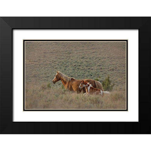 Aztec Band Black Modern Wood Framed Art Print with Double Matting by McFerrin, Larry