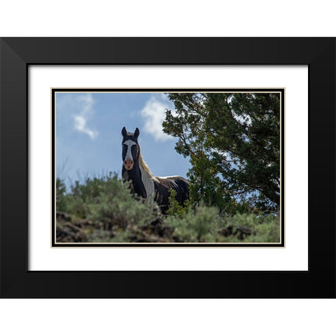 Casino Black Modern Wood Framed Art Print with Double Matting by McFerrin, Larry