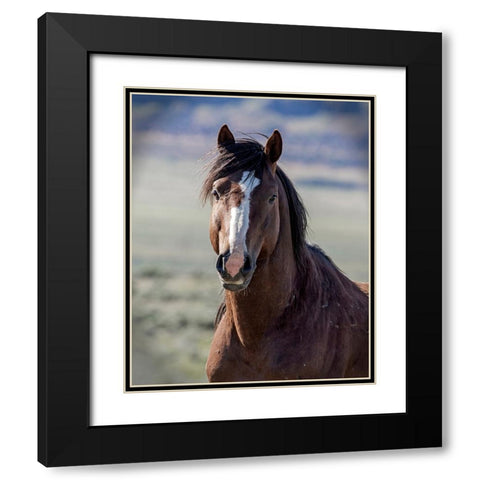 Choctaw Black Modern Wood Framed Art Print with Double Matting by McFerrin, Larry