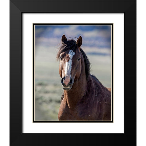 Choctaw Black Modern Wood Framed Art Print with Double Matting by McFerrin, Larry