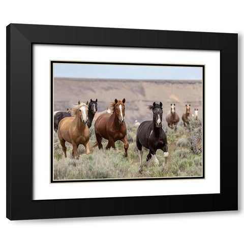 Macawls 2017 Black Modern Wood Framed Art Print with Double Matting by McFerrin, Larry