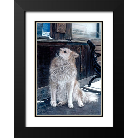 No Dogs Allowed Black Modern Wood Framed Art Print with Double Matting by Harrison, Lesley