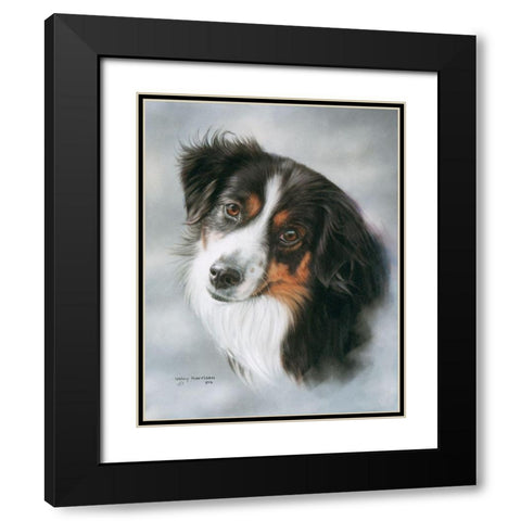 Australian Shepherd Black Modern Wood Framed Art Print with Double Matting by Harrison, Lesley