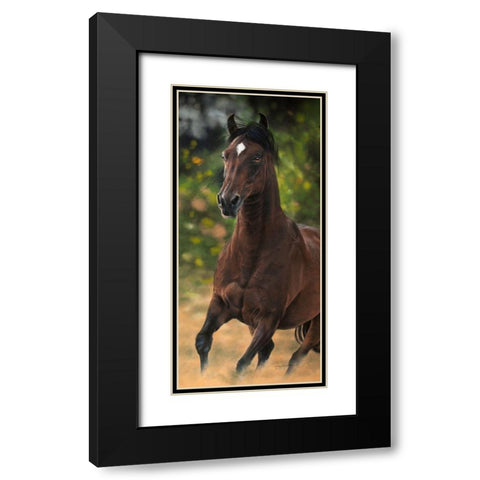 Spirit of Victory Black Modern Wood Framed Art Print with Double Matting by Harrison, Lesley