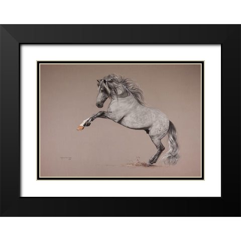 Siux Black Modern Wood Framed Art Print with Double Matting by Harrison, Lesley