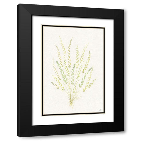 Dried Green Bundle Black Modern Wood Framed Art Print with Double Matting by Lee, Judson