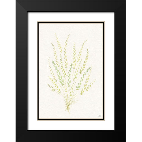 Dried Green Bundle Black Modern Wood Framed Art Print with Double Matting by Lee, Judson