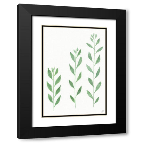 Three Wild Stems Black Modern Wood Framed Art Print with Double Matting by Lee, Judson