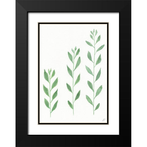 Three Wild Stems Black Modern Wood Framed Art Print with Double Matting by Lee, Judson