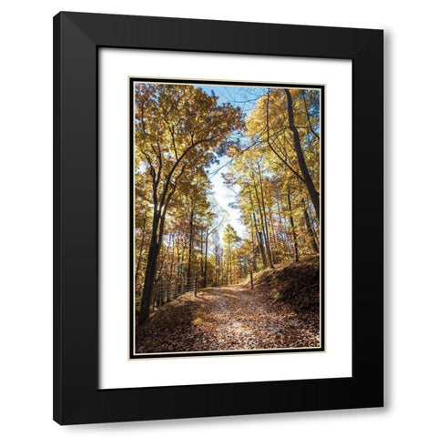 Golden Path Entrance Black Modern Wood Framed Art Print with Double Matting by Lee, Judson