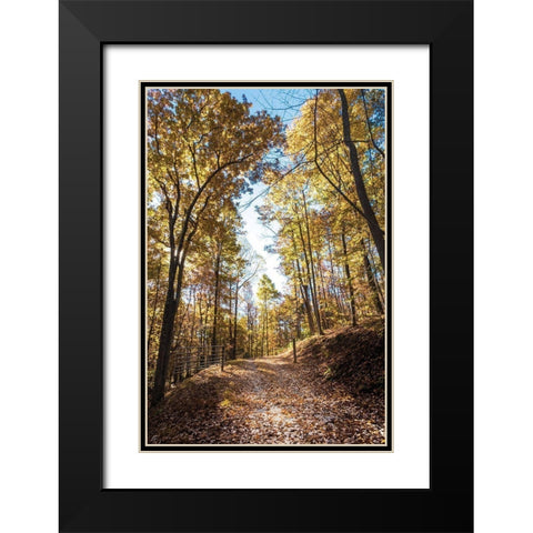 Golden Path Entrance Black Modern Wood Framed Art Print with Double Matting by Lee, Judson