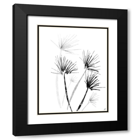 Palm Twigs Black Modern Wood Framed Art Print with Double Matting by Lee, Judson