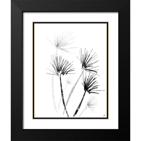 Palm Twigs Black Modern Wood Framed Art Print with Double Matting by Lee, Judson
