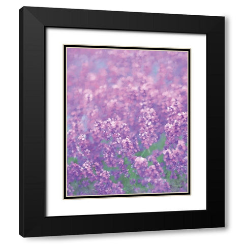 Purple I Black Modern Wood Framed Art Print with Double Matting by Fay, Mela