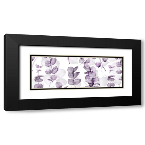 Eucalyptus Lavender Black Modern Wood Framed Art Print with Double Matting by Fay, Mela