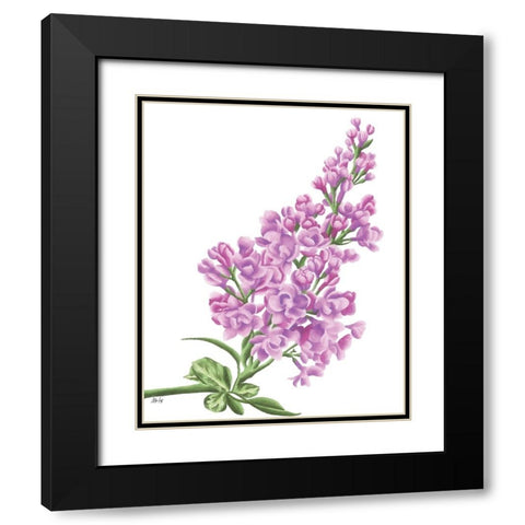 Lilac Flower in Pink Black Modern Wood Framed Art Print with Double Matting by Fay, Mela