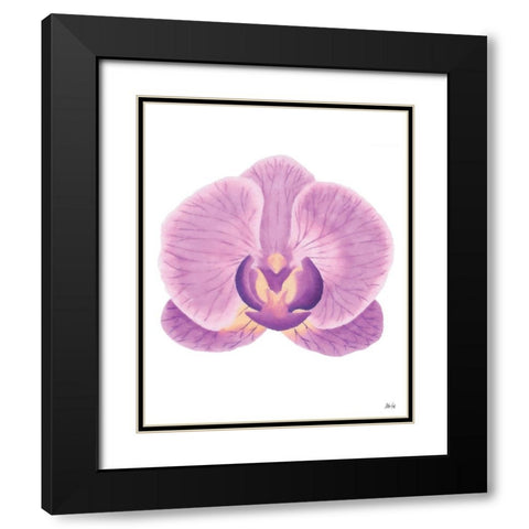 Purple Orchid II Black Modern Wood Framed Art Print with Double Matting by Fay, Mela
