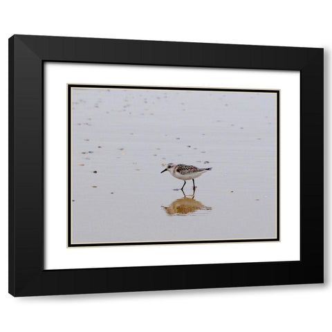 Little Guy Black Modern Wood Framed Art Print with Double Matting by Singleton, Ashley