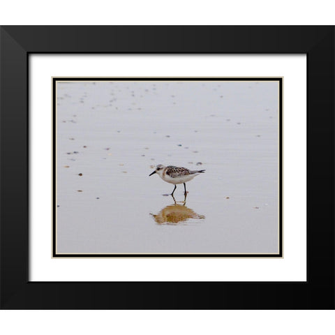 Little Guy Black Modern Wood Framed Art Print with Double Matting by Singleton, Ashley