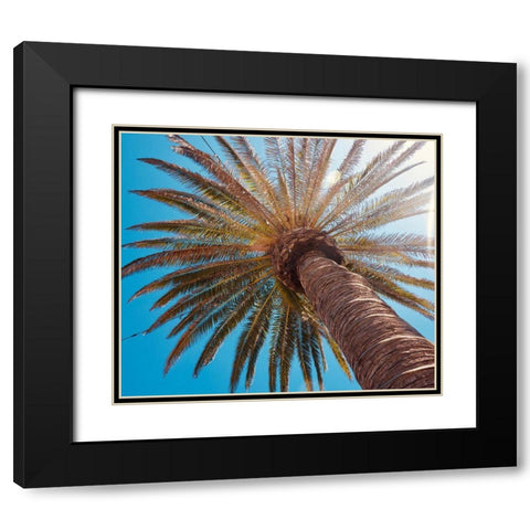 Sunny Palms Black Modern Wood Framed Art Print with Double Matting by Singleton, Ashley