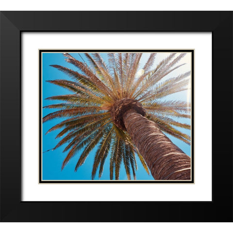 Sunny Palms Black Modern Wood Framed Art Print with Double Matting by Singleton, Ashley
