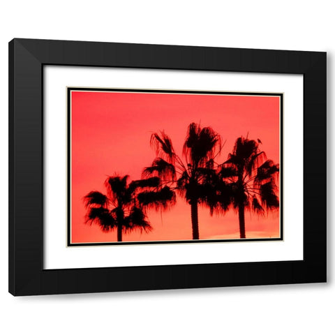 Neon Palm Trees I Black Modern Wood Framed Art Print with Double Matting by Singleton, Ashley