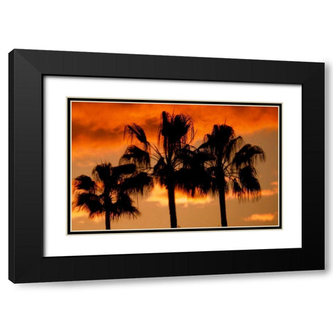 Neon Palm Trees II Black Modern Wood Framed Art Print with Double Matting by Singleton, Ashley