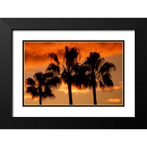 Neon Palm Trees II Black Modern Wood Framed Art Print with Double Matting by Singleton, Ashley