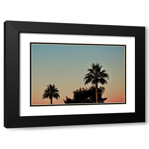Palm Tree Sunset Black Modern Wood Framed Art Print with Double Matting by Singleton, Ashley