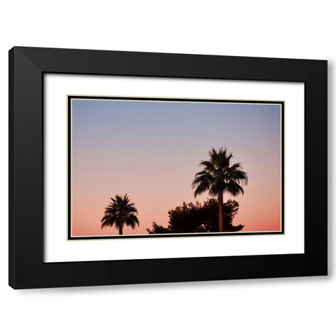 Palm Tree Sunset II Black Modern Wood Framed Art Print with Double Matting by Singleton, Ashley