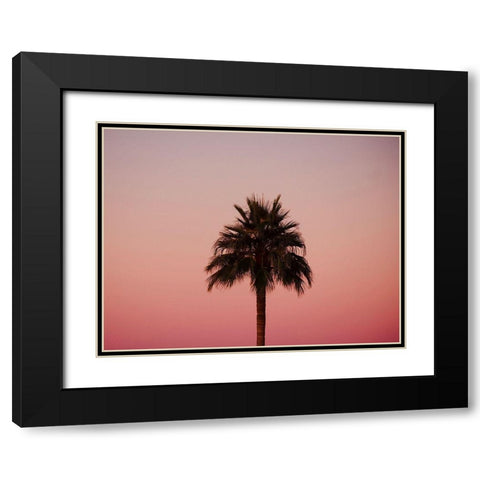 Palm Tree Sunset III Black Modern Wood Framed Art Print with Double Matting by Singleton, Ashley