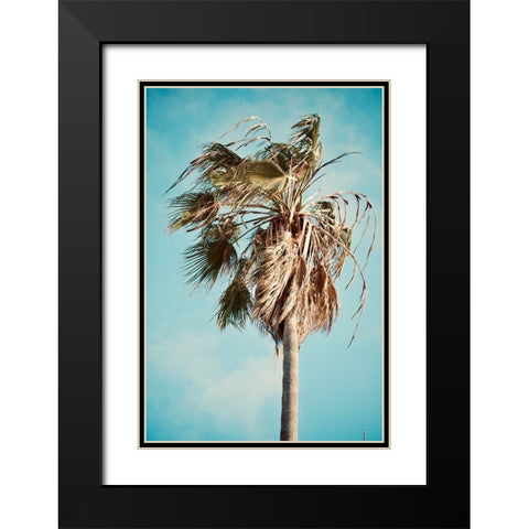 Palm Tree Black Modern Wood Framed Art Print with Double Matting by Singleton, Ashley