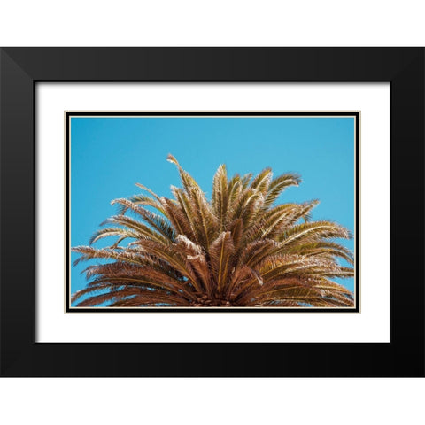 Palm Tree Black Modern Wood Framed Art Print with Double Matting by Singleton, Ashley