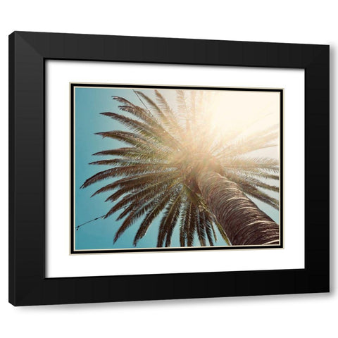 Palm Tree II Black Modern Wood Framed Art Print with Double Matting by Singleton, Ashley