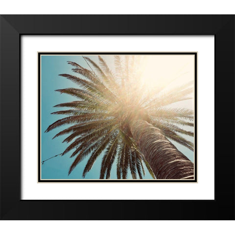 Palm Tree II Black Modern Wood Framed Art Print with Double Matting by Singleton, Ashley