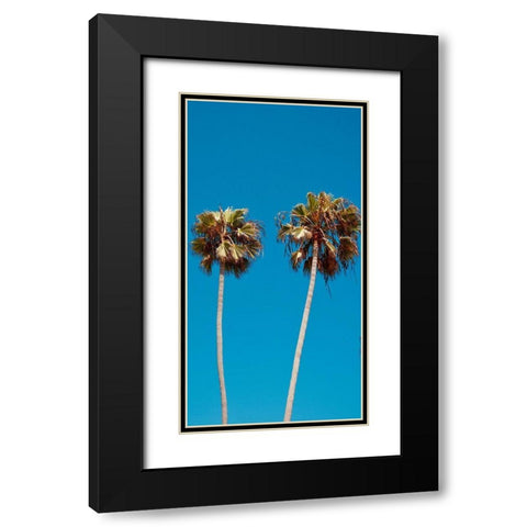 Palm Trees III Black Modern Wood Framed Art Print with Double Matting by Singleton, Ashley