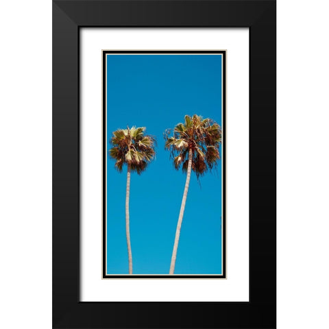 Palm Trees III Black Modern Wood Framed Art Print with Double Matting by Singleton, Ashley