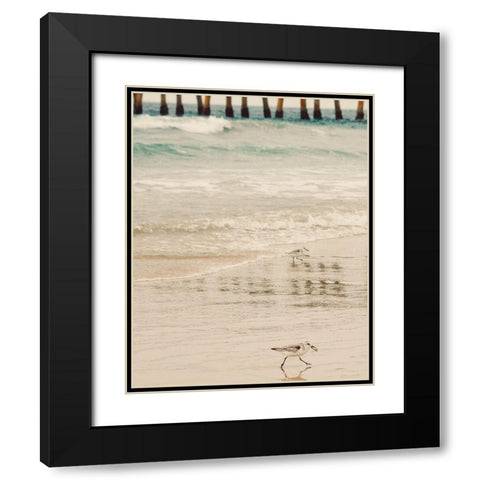 Bird Black Modern Wood Framed Art Print with Double Matting by Singleton, Ashley