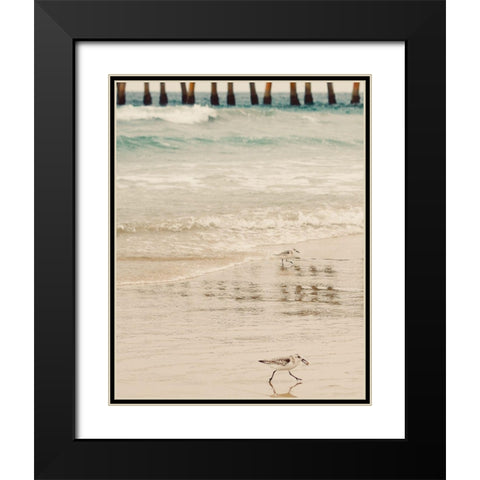Bird Black Modern Wood Framed Art Print with Double Matting by Singleton, Ashley