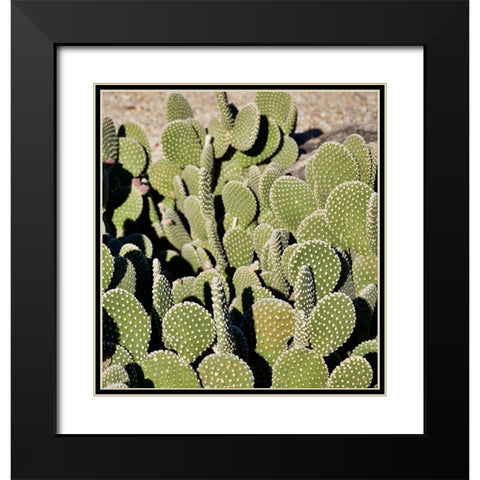 Cactus Black Modern Wood Framed Art Print with Double Matting by Singleton, Ashley