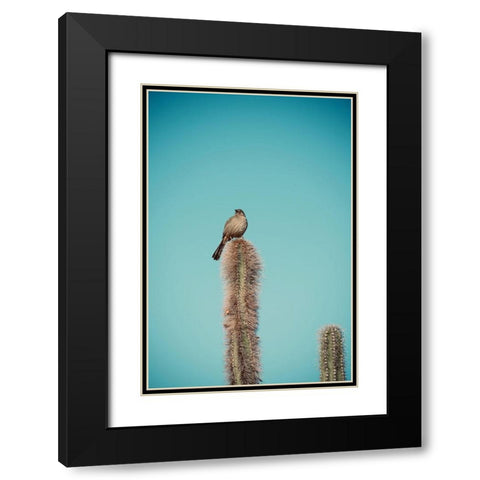 Cactus Bird Black Modern Wood Framed Art Print with Double Matting by Singleton, Ashley