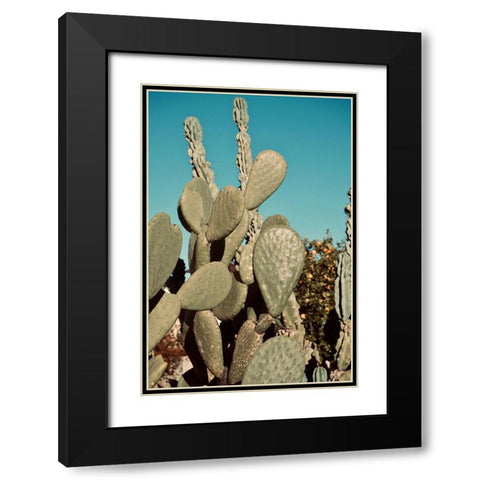 Cactus IV Black Modern Wood Framed Art Print with Double Matting by Singleton, Ashley