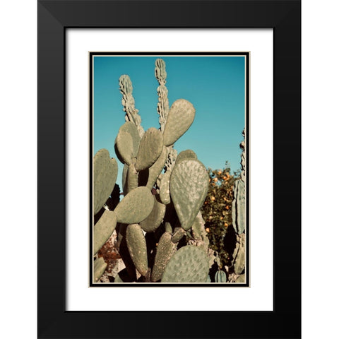 Cactus IV Black Modern Wood Framed Art Print with Double Matting by Singleton, Ashley