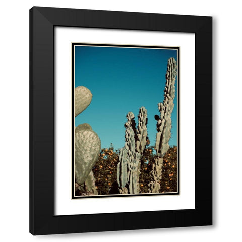 Cactus V Black Modern Wood Framed Art Print with Double Matting by Singleton, Ashley