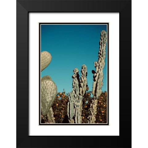 Cactus V Black Modern Wood Framed Art Print with Double Matting by Singleton, Ashley