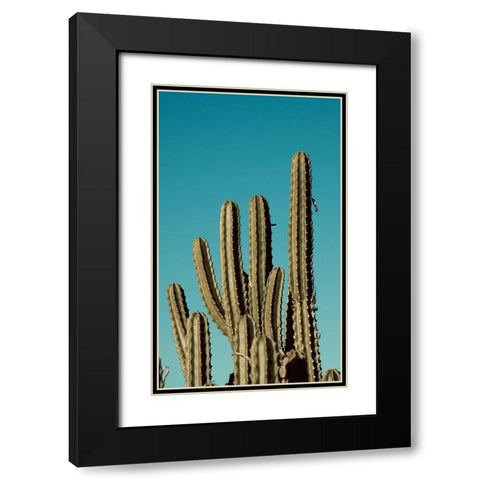 Cactus VII Black Modern Wood Framed Art Print with Double Matting by Singleton, Ashley
