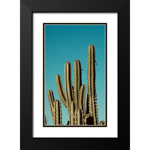 Cactus VII Black Modern Wood Framed Art Print with Double Matting by Singleton, Ashley