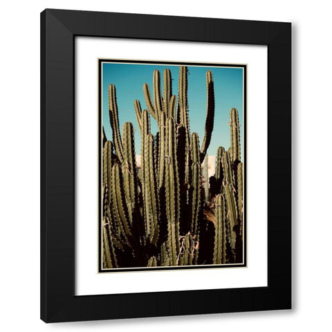 Cactus VIII Black Modern Wood Framed Art Print with Double Matting by Singleton, Ashley