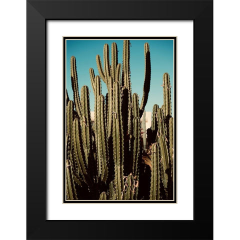 Cactus VIII Black Modern Wood Framed Art Print with Double Matting by Singleton, Ashley