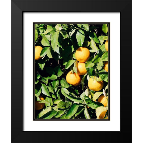 Orange Black Modern Wood Framed Art Print with Double Matting by Singleton, Ashley